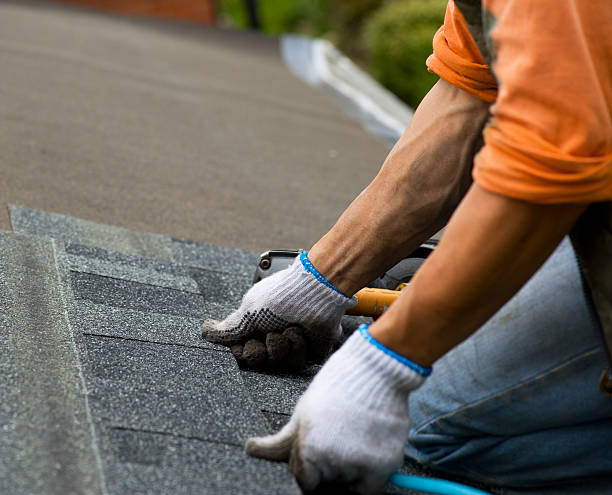 Roof Gutter Cleaning in Chattahoochee, FL